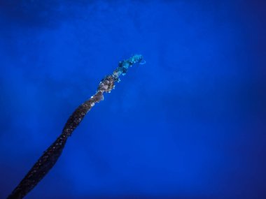 long rope to the bottom of the sea with blue water in egypt