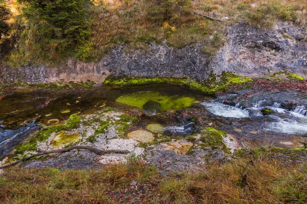 Heldergroene Bekkens Met Helder Water Een Bergstroom Een Prachtige Natuur — Stockfoto