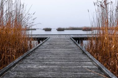 Göldeki sis sırasında eski ahşap ve kamışla iskelede.