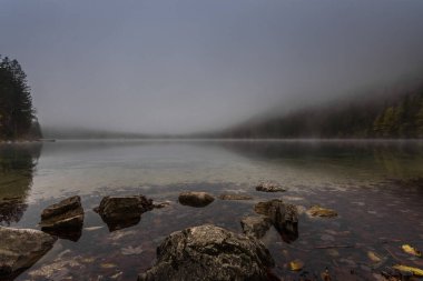Sonbaharda yürüyüş yaparken yoğun sis olan bir gölde taşlar.