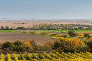 Sonbaharda göl ve renkli düz arazi ve sıcak güneş