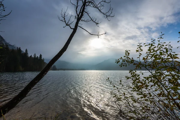 Oblique Tree Water Lake Sun Fog While Hiking — Stock Photo, Image
