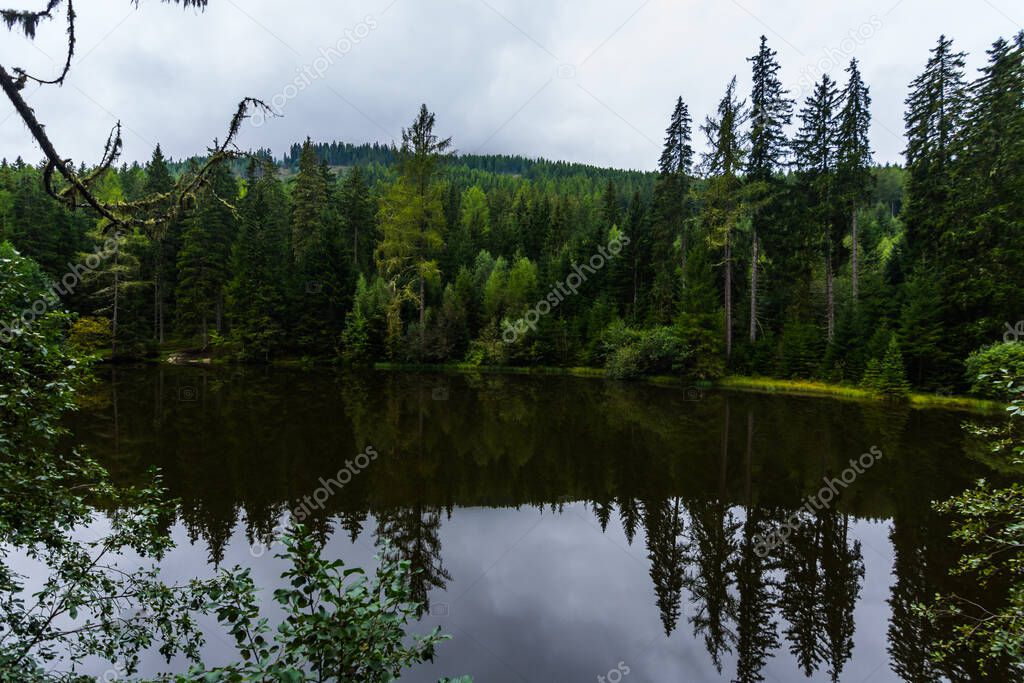 reflection from pinetrees in the water from a mountain lake with forest while hiking