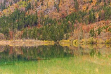 Renkli bir sonbaharda tatil için dağ gölünde yürüyüş yaparken huzurlu bir ruh hali.