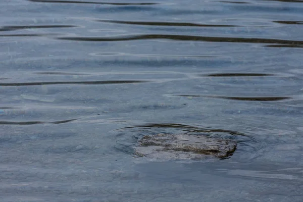 Плоский Камінь Воді Озера Невеликими Хвилями Під Час Походу — стокове фото