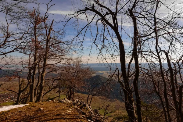 Bäume Und Felsvorsprung Beim Wandern Den Bergen Frühling — Stockfoto