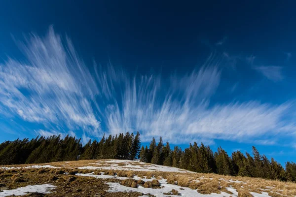Дрібні Хмари Глибоке Блакитне Небо Деревами Пагорбі Взимку — стокове фото