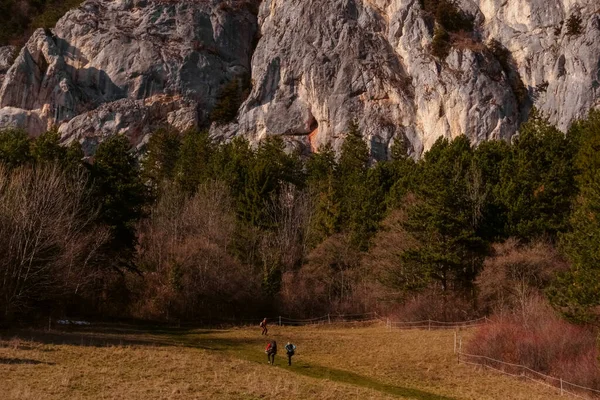 Wanderer Auf Einer Wiese Auf Einem Pfad Mit Wald Und — Stockfoto