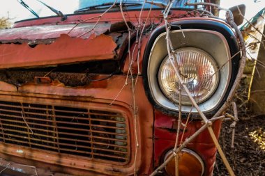 Doğadaki paslı bir Ford kamyonetin önü aydınlık.