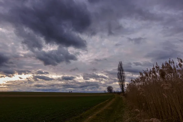 Sűrű Esőfelhők Égen Táj Nád Zöld Mezők — Stock Fotó