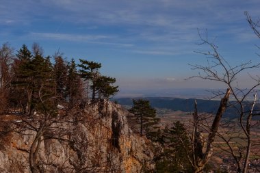 Ağaçlı yüksek kayalar ve dağlarda yürüyüş yaparken güzel hava.