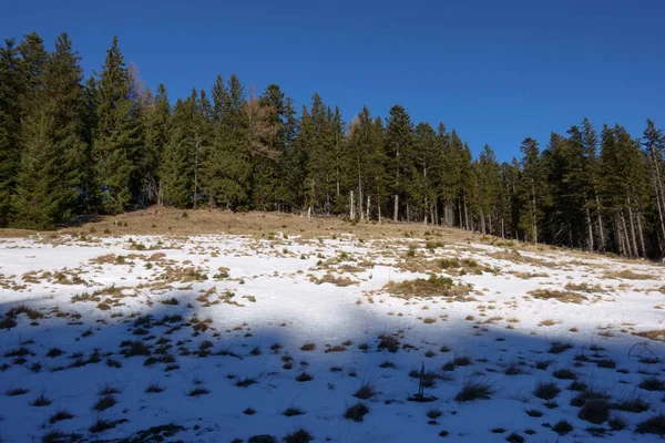 Colina Con Pinos Nieve Con Cielo Azul Durante Senderismo Invierno — Foto de Stock