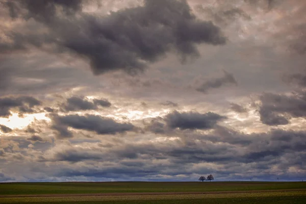 Muchas Nubes Cielo Paisaje Plano Con Dos Árboles Horizonte — Foto de Stock