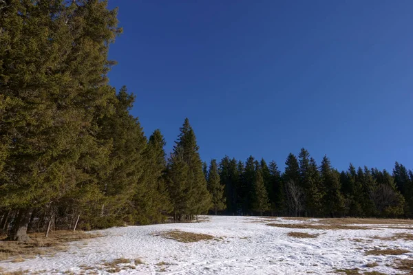 Μπλε Ουρανό Δέντρα Και Χιόνι Μπλε Ουρανό Ενώ Πεζοπορία Χειμώνα — Φωτογραφία Αρχείου