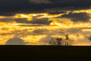Gün batımında gökyüzünde renkli sarı bulutlar ve ufukta ağaçlar
