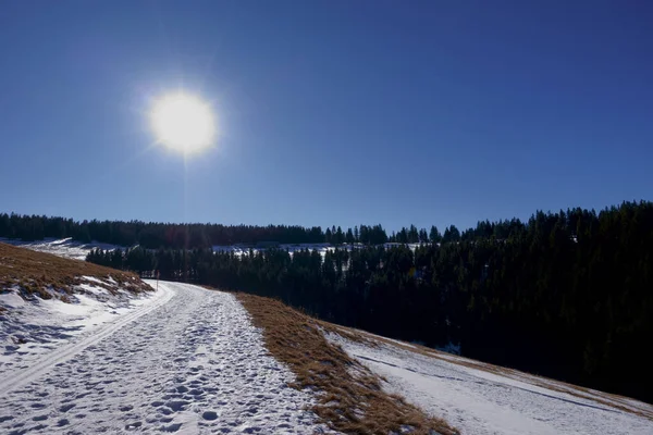 Sol Brillante Cielo Azul Mientras Camina Paisaje Nieve Invierno — Foto de Stock