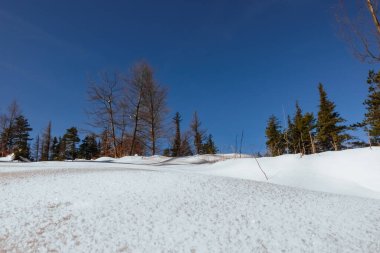 Karda yürüyüş ve mavi gökyüzü doğada güzel havayla