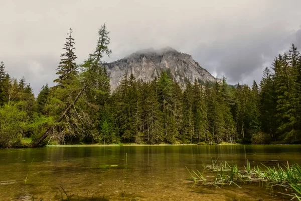 Little Lake Pine Trees Mountain Fog Nature — Stock Photo, Image