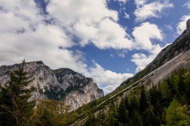 İlkbaharda yürüyüş yaparken sarp duvarları ve çam ağaçları olan dağ