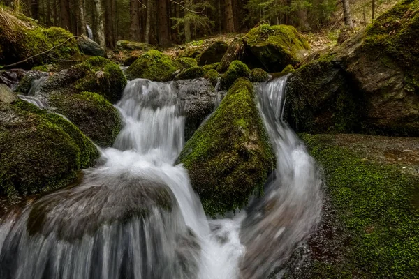 Muschio Verde Con Rocce Torrente Durante Escursioni — Foto Stock