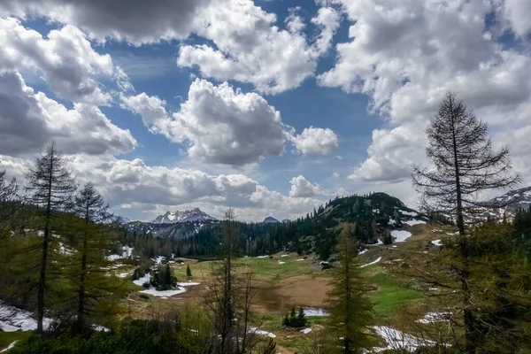 Hermoso Paisaje Alm Con Árboles Montañas Primavera Austria —  Fotos de Stock