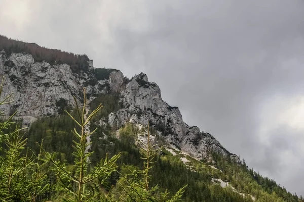 Berge Mit Bäumen Und Grauen Wolken Himmel Beim Wandern Frühling — Stockfoto