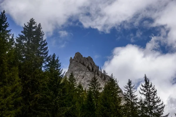 Pins Une Montagne Forte Avec Des Nuages Ciel Bleu Printemps — Photo