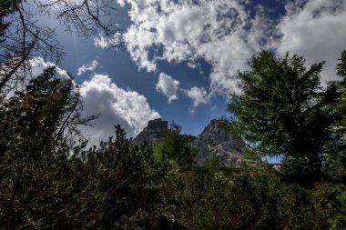 Dağlarda yeşil orman, gökyüzünde beyaz bulutlar yürürken