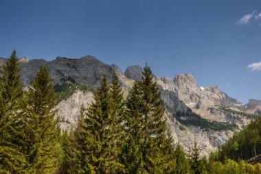 Ağustosta yürürken sivri dağların önündeki çam ağaçları