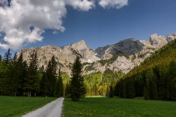 Camino Naturaleza Verde Con Montañas Puntiagudas Austria —  Fotos de Stock