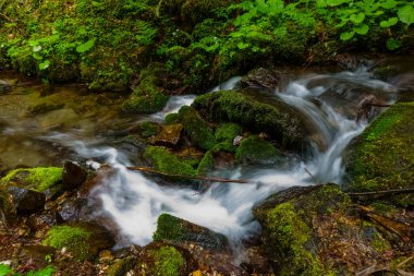Yeşil yosunlu kayalar arasında akan güzel bir su.