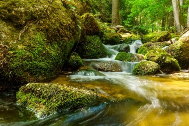 Küçük şelaleleri ve doğada bir sürü kayaları olan güzel bir dere.