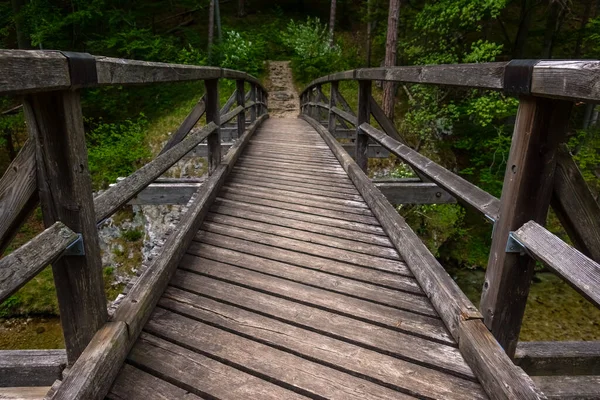 Ponte Wodden Torrente Durante Escursioni Primavera — Foto Stock