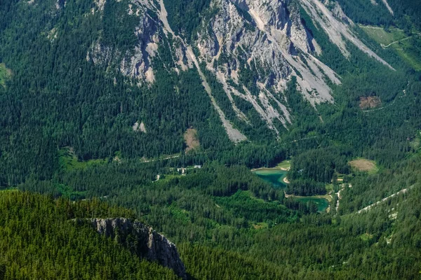 Schöner Grüner See Einer Waldlandschaft Den Bergen Und Sommer — Stockfoto