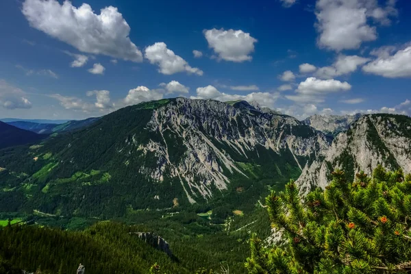 Prachtig Uitzicht Een Bergketen Een Groen Meer Het Bos Zomer — Stockfoto