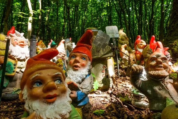 Many Garden Gnomes Place Forest While Hiking Forest — Stock Photo, Image