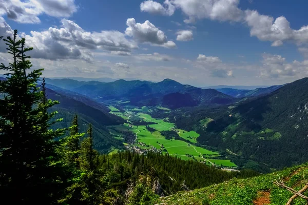 Υπέροχο Λαμπερό Πράσινο Κοιλάδα Ενώ Πεζοπορία Στα Βουνά Καλοκαίρι — Φωτογραφία Αρχείου