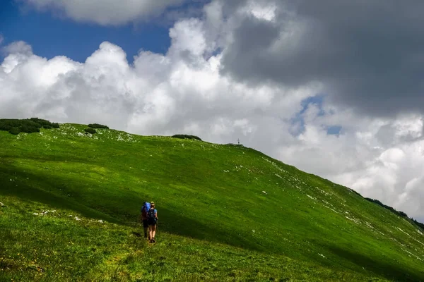 Wanderer Auf Einem Wanderweg Beim Gipfelwandern Auf Einer Grünen Wiese — Stockfoto