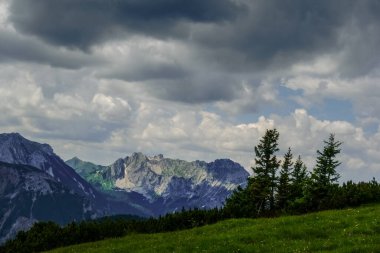 Yazın yürürken çam ağaçları ve yeşil çayır ile kayalık dağlar.