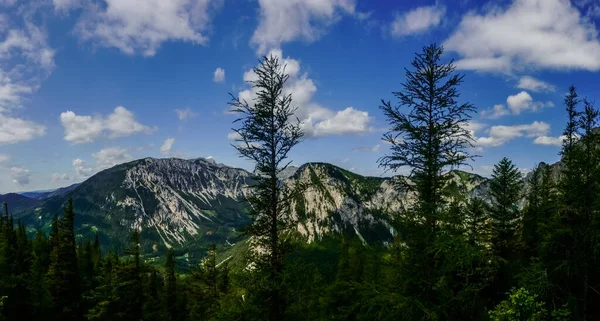 Blick Auf Eine Wunderschöne Bergkette Mit Bäumen Und Blick Auf — Stockfoto