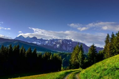 Çayır ve ağaçlarla dolu patika Dağlarda mavi gökyüzü