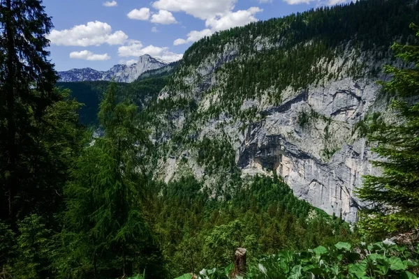 Steile Felsige Berge Mit Grünen Bäumen Beim Wandern Sommer — Stockfoto