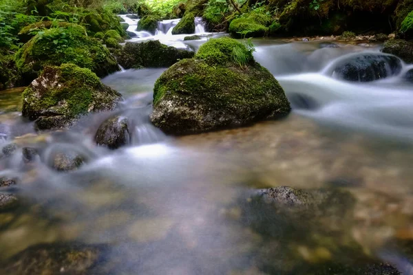 ハイキング中に自然の中に多くの岩と素晴らしい柔らかい流れの小川 — ストック写真