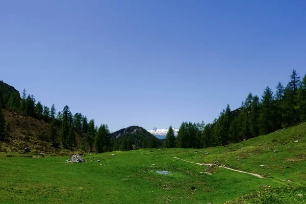Пішохідна Стежка Свіжому Зеленому Лузі Гірський Хребет Задньому Плані — стокове фото
