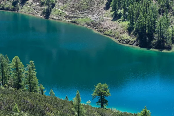 Kleurrijke Blauwe Bergmeer Met Groene Kust Detail Uitzicht — Stockfoto