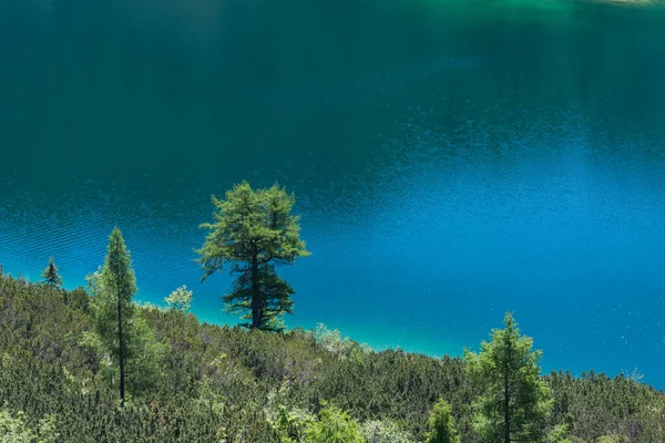 Kolorowe Niebieskie Jezioro Górskie Zielonymi Drzewami Brzegu Widok Góry — Zdjęcie stockowe
