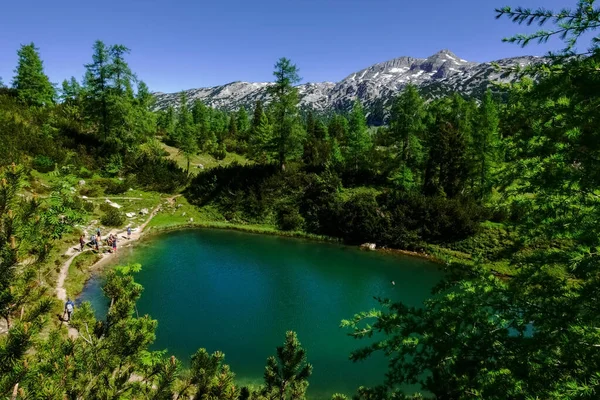 Piccolo Lago Montagna Verde Tra Gli Alberi Con Escursionisti Estate — Foto Stock