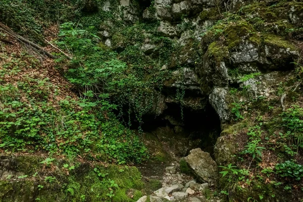 ハイキング中に自然の中に水の源を持つ生い茂った洞窟 — ストック写真