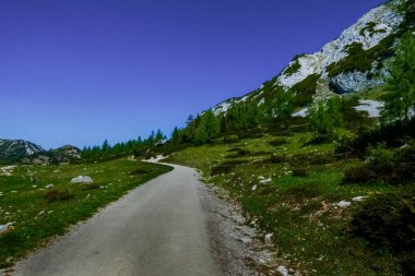 Dağlardaki toprak yolda yeşil bitkiler ve derin mavi gökyüzü