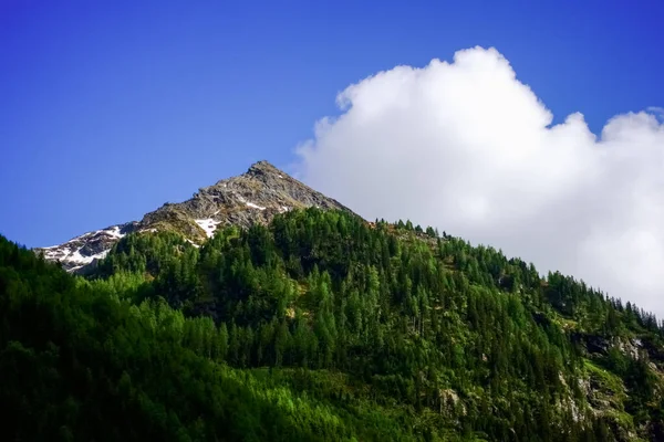Скеляста Гора Деревами Сніг Блакитним Небом Білою Хмарою — стокове фото